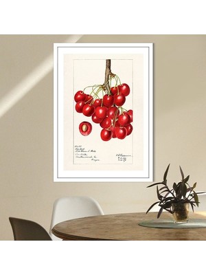 Kiraz 2 Çerçeve ve Poster - MT1052