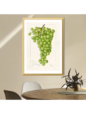 Yeşil Üzümler 2 Çerçeve ve Poster - MT1104