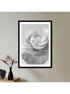 Tek Gül 2 Çerçeve ve Poster - SB1056