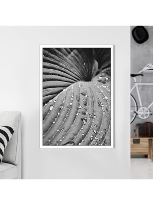 Yağmur Damlalı Yaprak 1 Çerçeve ve Poster - SB1114