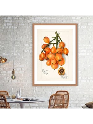 Yenidünya 1 Çerçeve ve Poster - MT1083