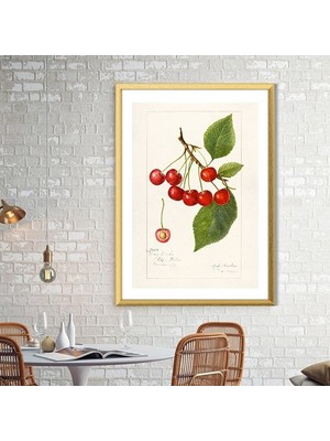 Kiraz 3 Çerçeve ve Poster - MT1053