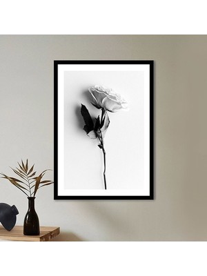 Tek Gül 4 Çerçeve ve Poster - SB1060