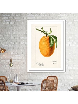 Turunç 1 Çerçeve ve Poster - MT1084