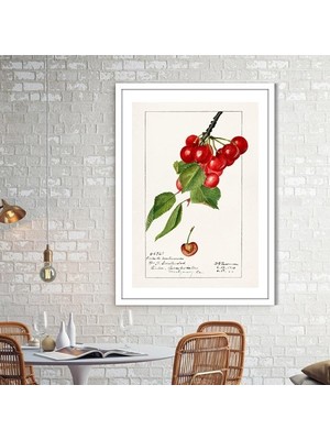 Kiraz 5 Çerçeve ve Poster - MT1112