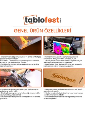 Tablofest Yakın Plan Kırmızı Gül Kanvas Tablo