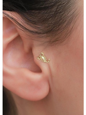 Bayar Gold 14 Ayar Altın Akrep Tragus Piercing