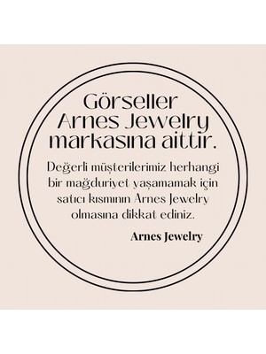 Arnes Jewelry Çelik Çeyrek Altın Takılabilen Kolye