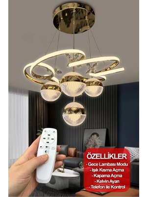 NZL Lighting 3 Renk Kumandalı Modern Sarkıt 4 Toplu Kelebekli Ledli Salon Avize Gold