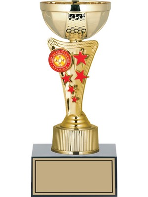 Odak Kişiye Özel Başarı Kupası-Futbol Kupası-Tören Kupası-Okul Kupası-Birincilik Kupası-Şampiyonluk Kupası-Turnuva Kupası Ödül Kupası S029 22  cm