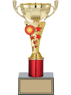 Odak Kişiye Özel Başarı Kupası-Futbol Kupası-Tören Kupası-Okul Kupası-Birincilik Kupası-Şampiyonluk Kupası-Turnuva Kupası Ödül Kupası S034C 26  cm