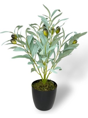Yapay Zeytin Ağacı Saksıda 40CM 5 Dallı 10 Meyveli Pastel Yapay Çiçek Artificial Olive