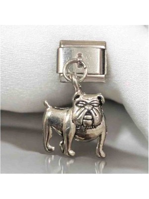 Stainles Steel Italyan Köpek Detaylı Charm