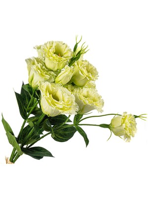 Beyaz Buket Yapay Çiçek 51CM