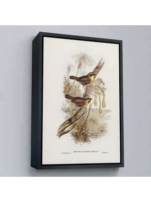 Miyrem canvas Serie  Dal Üzerindeki Kuşlar TABLOSU-8022