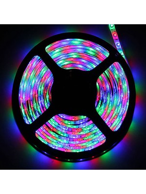 5 Metre 3528RGB Şerit Işık Kiti +44 Tuşlar Uzaktan Kumanda Su Geçirmez LED Şerit Plaka Renk Rastgele (Yurt Dışından)