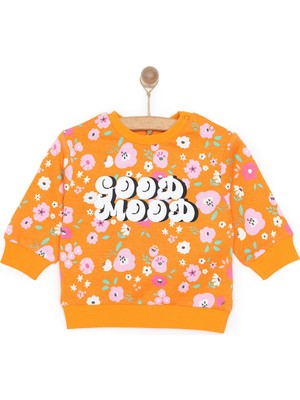 Hellobaby Basic Az Şardonlu Aslan Desenli Sweatshirt Kız Bebek