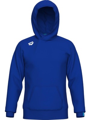 Arena Team Hooded Sweat Panel Unusex Kapşonlu