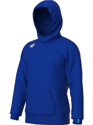 Arena Team Hooded Sweat Panel Unusex Kapşonlu