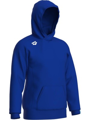 Arena Team Hooded Sweat Panel Unusex Kapşonlu