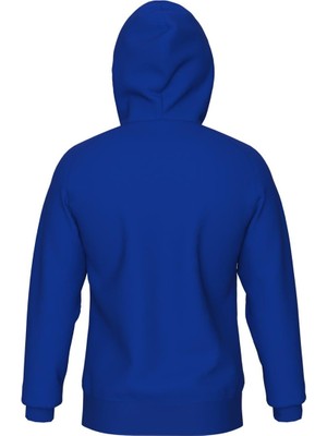 Arena Team Hooded Sweat Panel Unusex Kapşonlu