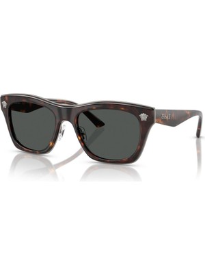 Versace Güneş Gözlüğü VE2272 53 108/87