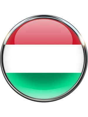 Maceristan Hungary Ülke Bayrağı Paslanmaz Çelik Iğneli 3D Yuvarlak Camlı Rozet