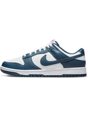 Nike Dunk Low Retro Erkek Sneaker Ayakkabı DD1391-400