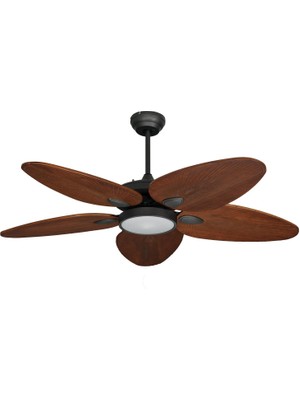 Lasttouch Cyclone Aydınlatma Tavan Vantilatörü