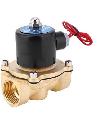 2W-250-25 Dc 24V Elektromanyetik Valf - Solenoid Valf