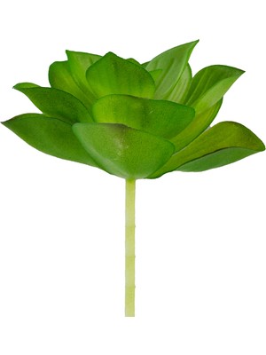 Yapay Mini Etli Echeveria Sukulent Açık Yeşil 8 cm