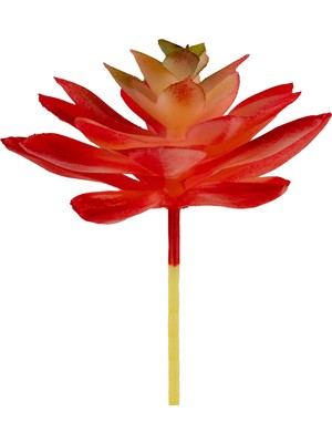Yapay Mini Echeveria Sukulent Kırmızı 8 cm