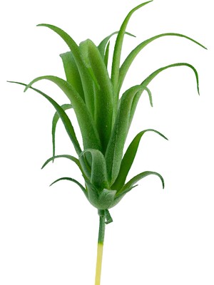 Yapay Tüylü Tillandsia Sukulent Açık Yeşil 17 cm