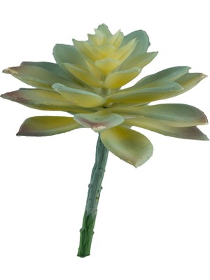 Yapay Mini Etli Echeveria Sukulent Açık Yeşil 12 cm