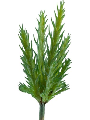 Yapay Iğne Yapraklı Kaktüs Sukulent Dalı Açık Yeşil 16 cm
