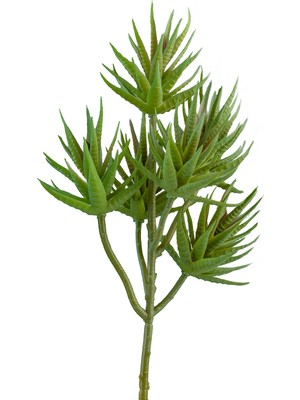 Yapay Iğne Yapraklı Sukulent Demeti Mat Açık Yeşil 34 cm