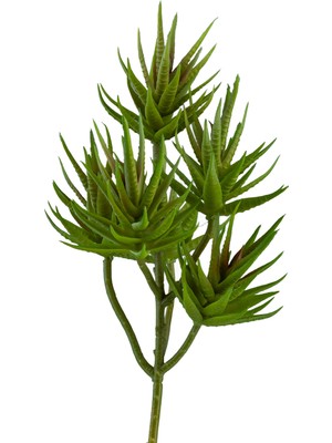 Yapay Iğne Yapraklı Sukulent Demeti Açık Yeşil 34 cm