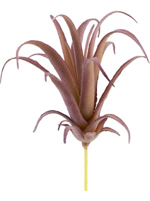 Yapay Tüylü Tillandsia Sukulent Lila 17 cm