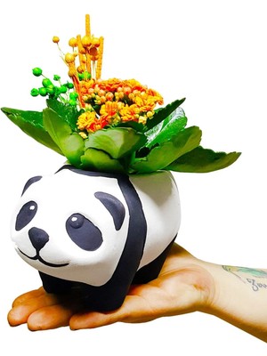 Çiçek Seli Seramik Panda Saksıda Canlı Kalanchoe Tasarımı Hediyelik Canlı İç Mekan Bitkileri Dekor Biblo