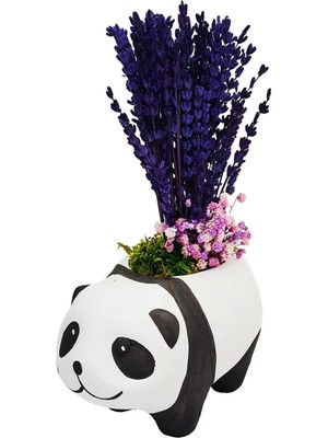 Çiçek Seli Mor Lavanta ve Cipso Tasarımı Seramik Panda Saksı Dekoratif Kuru Çiçek Hediyesi Ev Dekorasyon Home