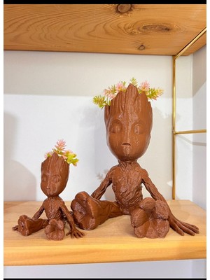 Ikili Baby Groot Biblo Saksı