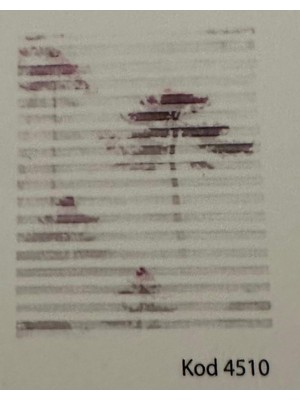 Lattice Baskılı 4510