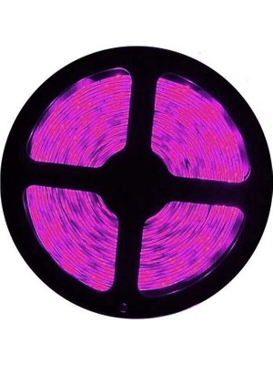 Cata Pembe Şerit LED 10 Çipli Iç Mekan 5 Metre