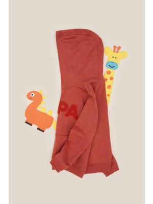 U.S. Polo Assn. Erkek Çocuk Kiremit Basic Sweatshirt 50289142-VR031