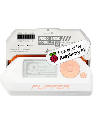 Flipper Zero Için Video Game Module (Flipper Zero Dahil Değildir)