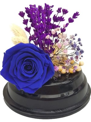 Çiçek Seli Mavi Solmayan Gül (Xl) ve Lavanta Özel Pleksi Balon Kutuda & Sevgiliye Hediye Home