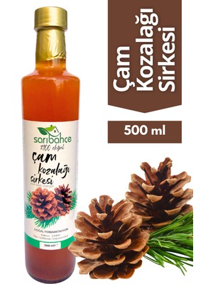 Çam Kozalağı Sirkesi 500 ml - Organik Doğal Fermente