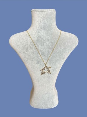 Asteria Jewelry Tasarım Yıldız Kolye