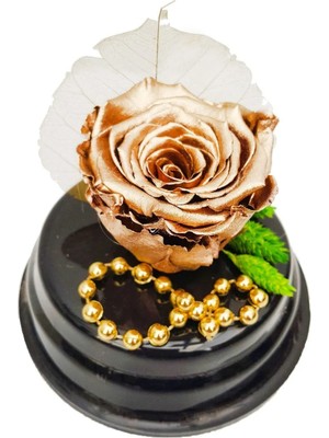 Çiçek Seli Gold Solmayan Gül Xl Special Serisi Tasarımı