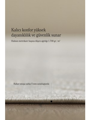 Anaska Home Özel Tasarım Krem Renk Sisal Halı Oturma Odası Salon Halısı Kolay Temizlenebilir Kaymaz Taban Halı